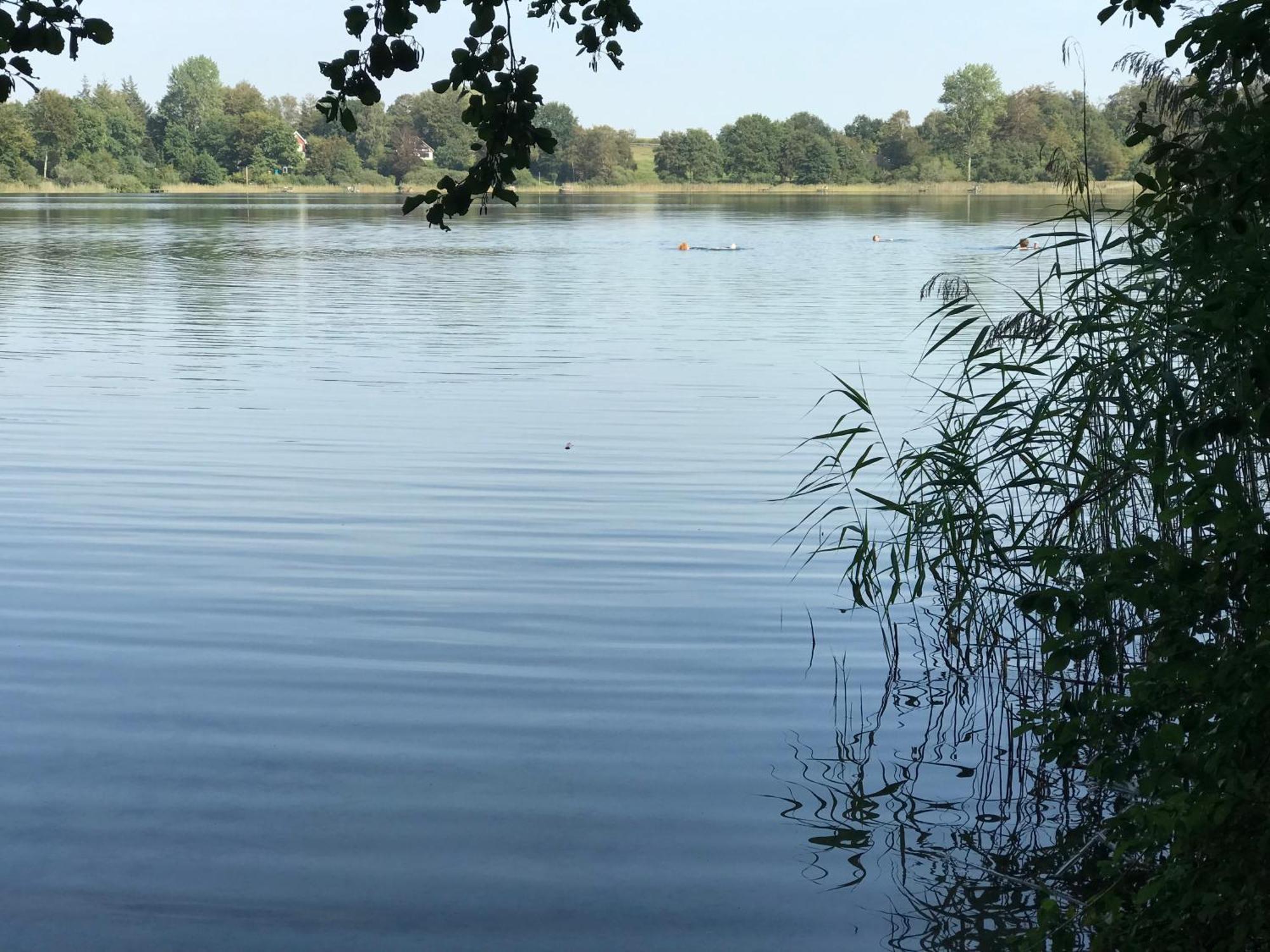 Ferienwohnung Fleckeby Schlei Fjord Light Zewnętrze zdjęcie